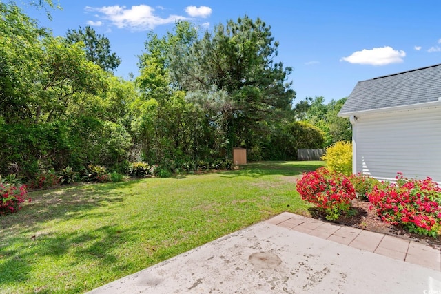 view of yard with a patio
