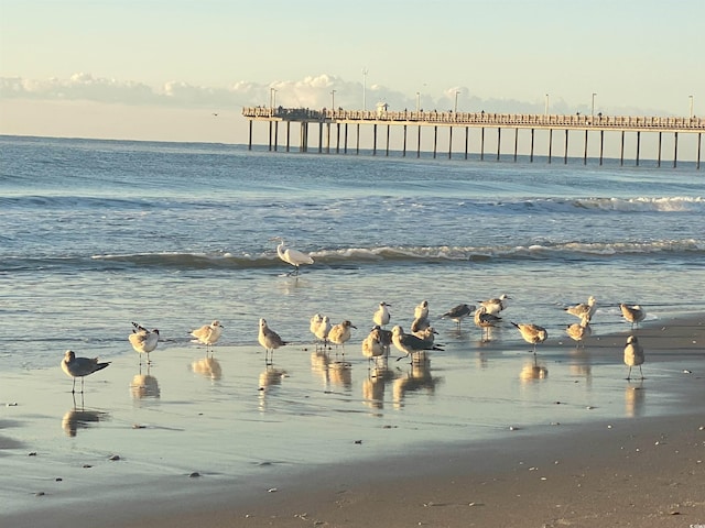water view with a pier