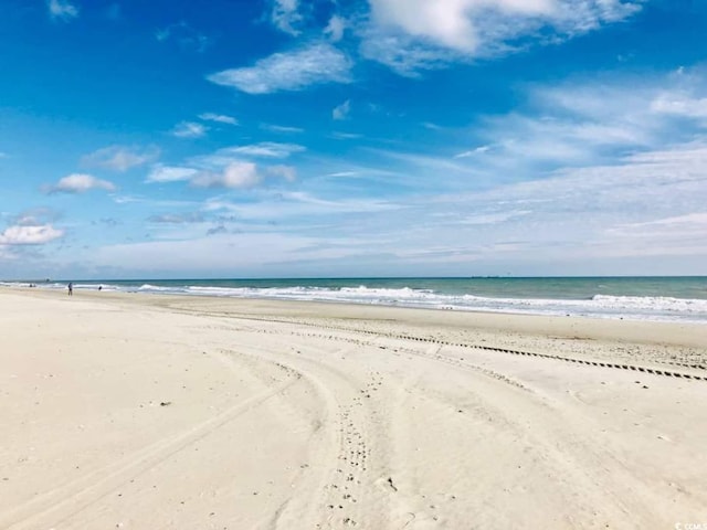 water view featuring a beach view