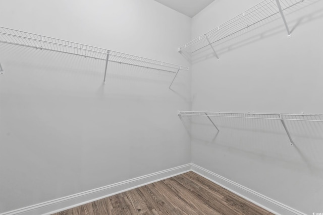 spacious closet featuring dark wood finished floors
