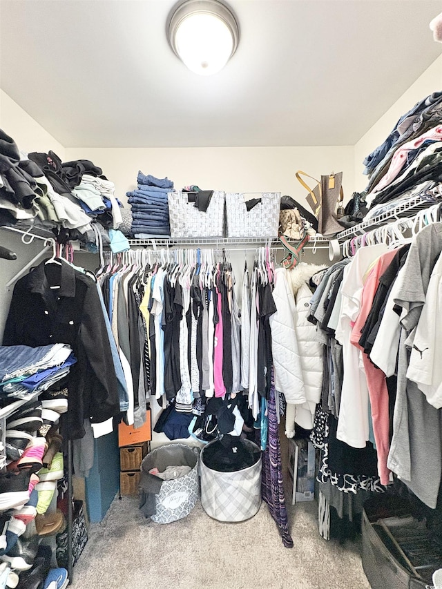 spacious closet with carpet flooring