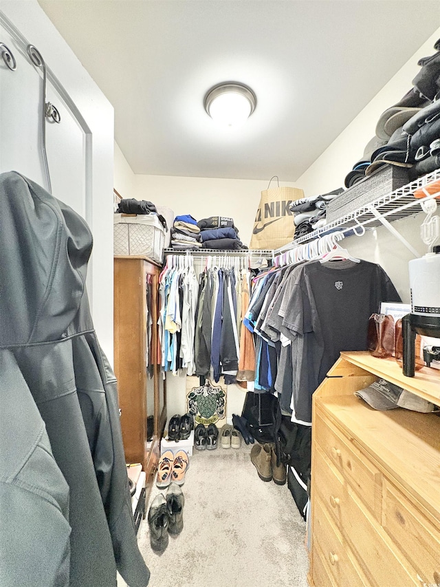 walk in closet featuring carpet
