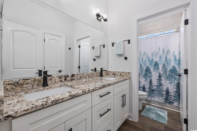bathroom featuring a sink, double vanity, toilet, and wood finished floors