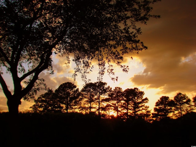 view of nature at dusk