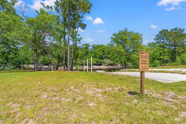 127 Emerald Rush Ct, Longs, SC 29568 - photo 29