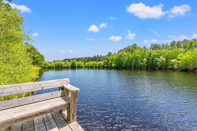 view of dock featuring a view of trees and a water view