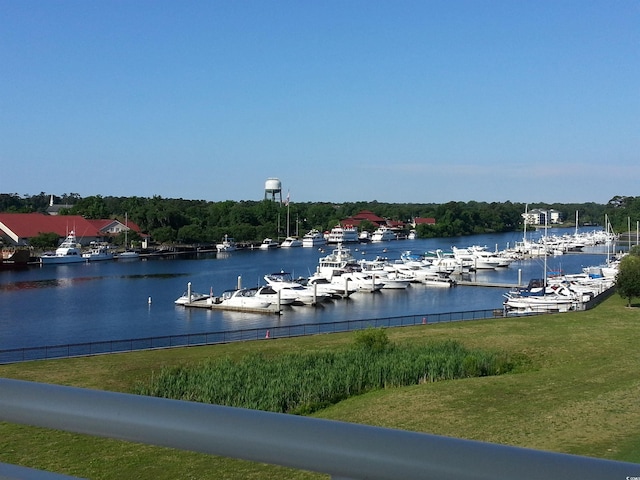 water view featuring a boat dock