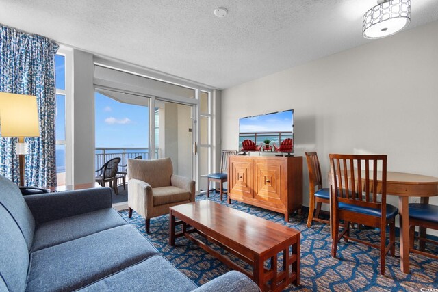 5200 N Ocean Blvd Unit 833, Myrtle Beach, SC 29577 - living area with a textured ceiling
