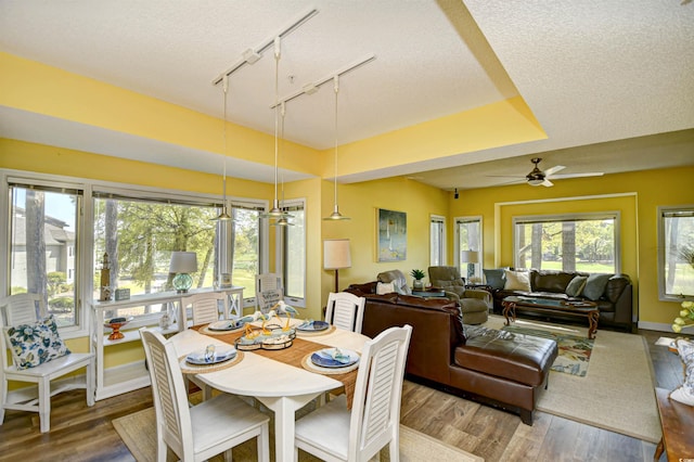 dining area with rail lighting, a textured ceiling, a ceiling fan, and wood finished floors