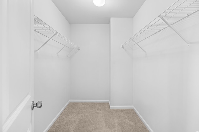 spacious closet with carpet