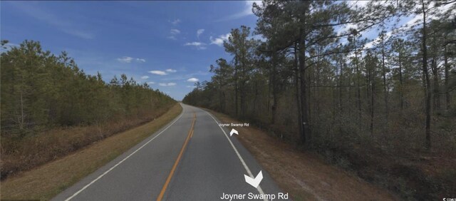TBD Joyner Swamp Rd, Galivants Ferry, SC 29544