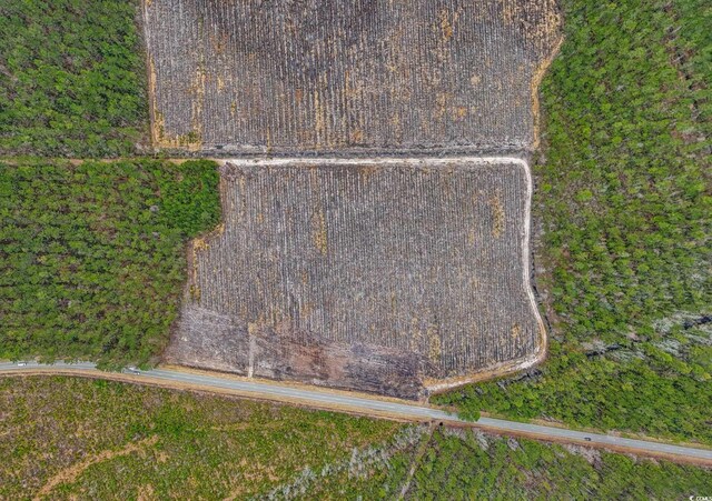 TBD Joyner Swamp Rd, Galivants Ferry, SC 29544