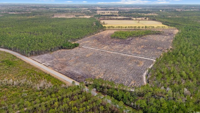 TBD Joyner Swamp Rd, Galivants Ferry, SC 29544