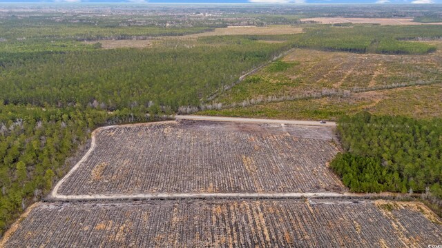 TBD Joyner Swamp Rd, Galivants Ferry, SC 29544
