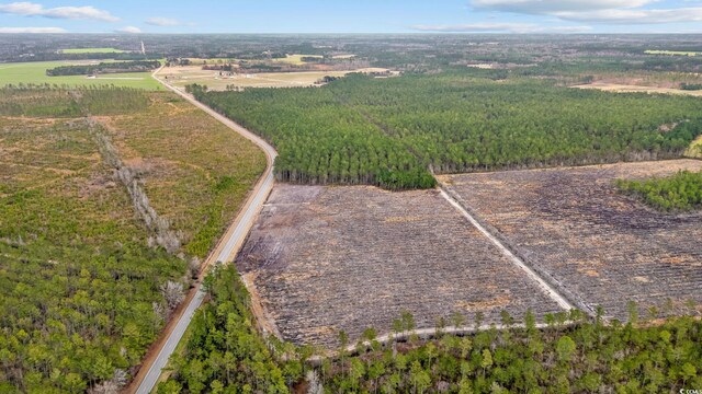 TBD Joyner Swamp Rd, Galivants Ferry, SC 29544