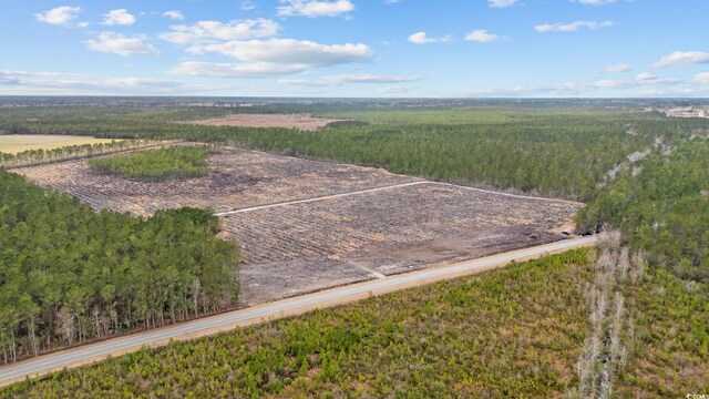 TBD Joyner Swamp Rd, Galivants Ferry, SC 29544