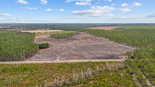 TBD Joyner Swamp Rd, Galivants Ferry, SC 29544