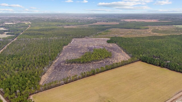 TBD Joyner Swamp Rd, Galivants Ferry, SC 29544