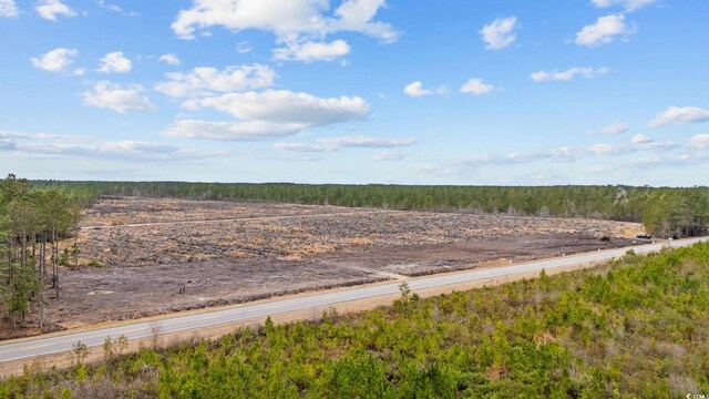 TBD Joyner Swamp Rd, Galivants Ferry, SC 29544