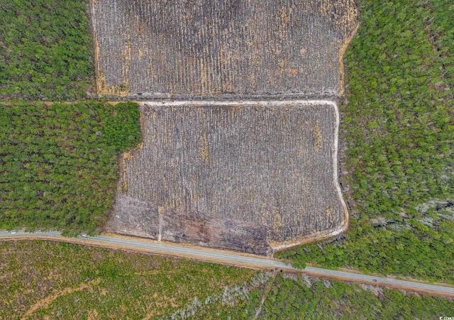 TBD Joyner Swamp Rd, Galivants Ferry, SC 29544