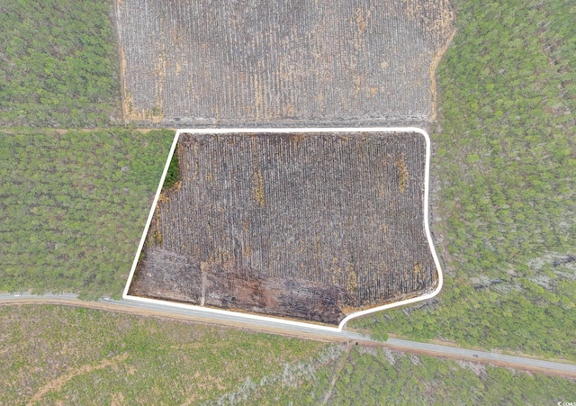 TBD Joyner Swamp Rd, Galivants Ferry, SC 29544