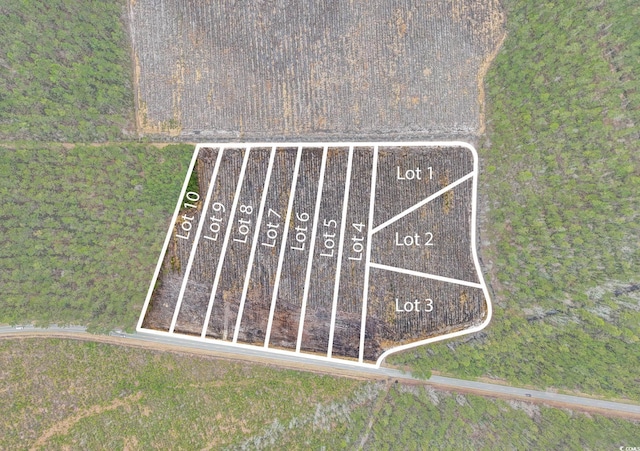 TBD Joyner Swamp Rd, Galivants Ferry, SC 29544