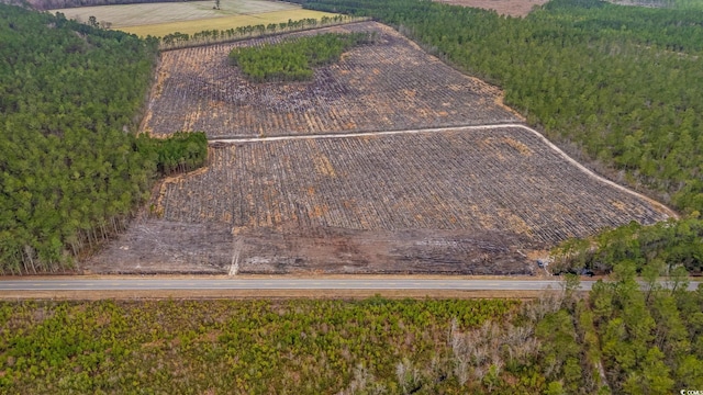 TBD Joyner Swamp Rd, Galivants Ferry, SC 29544