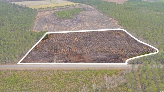TBD Joyner Swamp Rd, Galivants Ferry, SC 29544