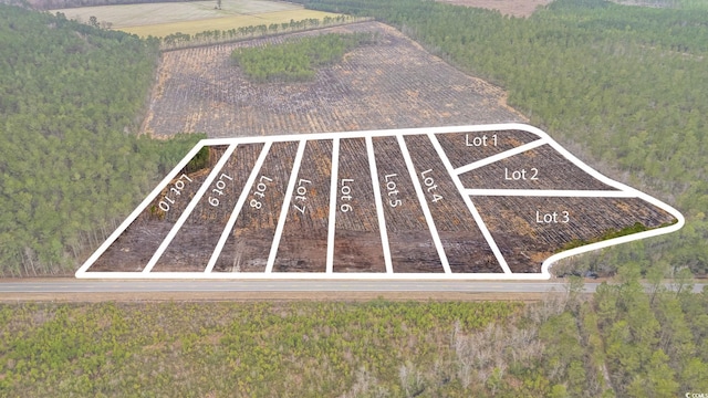 TBD Joyner Swamp Rd, Galivants Ferry, SC 29544