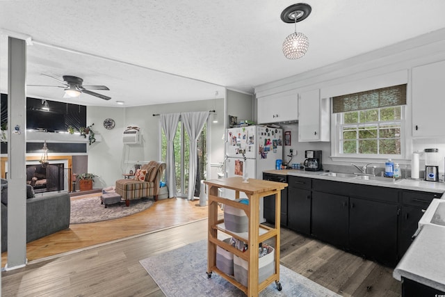 kitchen featuring light countertops, dark cabinetry, a sink, ceiling fan, and light wood-type flooring