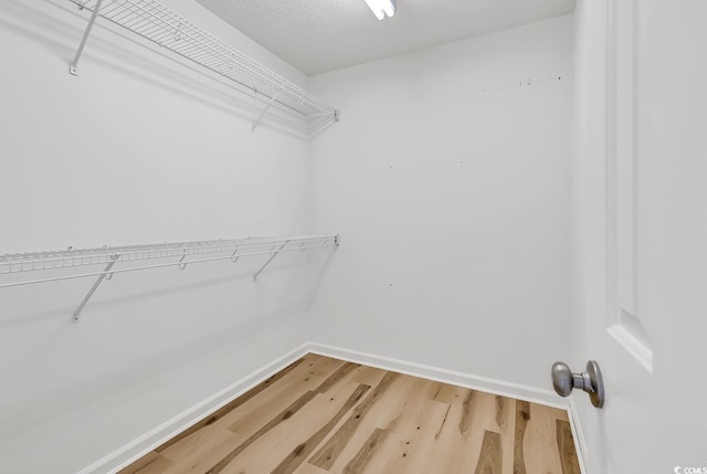 9616 Sullivan Dr, Murrells Inlet, SC 29576 - walk in closet with light wood-style flooring