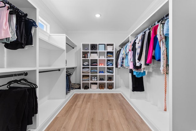 walk in closet featuring wood finished floors