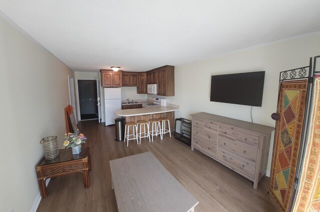 300 47th Ave S Unit 1E, North Myrtle Beach, SC 29582 - living area featuring wood finished floors