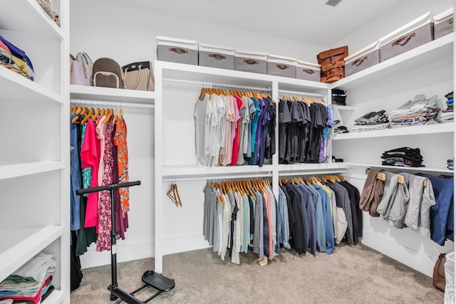 260 Palmetto Harbour Dr, North Myrtle Beach, SC 29582 - spacious closet with carpet