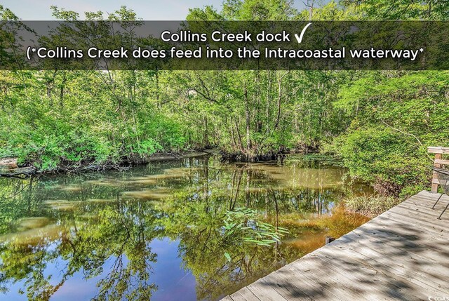 130 Hagar Brown Rd, Murrells Inlet, SC 29576 - exterior space featuring a water view