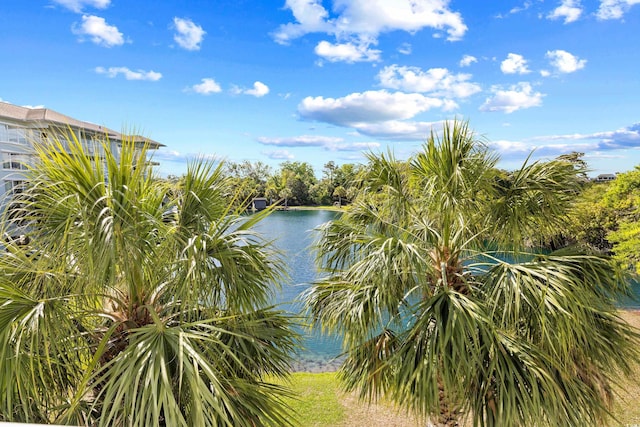 property view of water