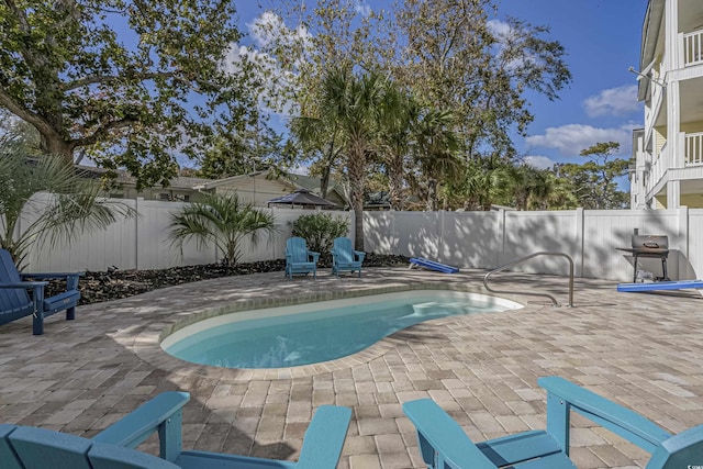 view of pool featuring a fenced backyard, a fenced in pool, and a patio