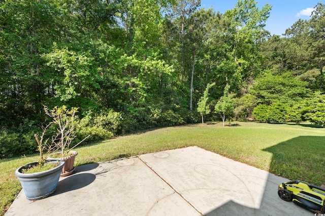 2170 Buxton Dr, Myrtle Beach, SC 29579 - photo 34