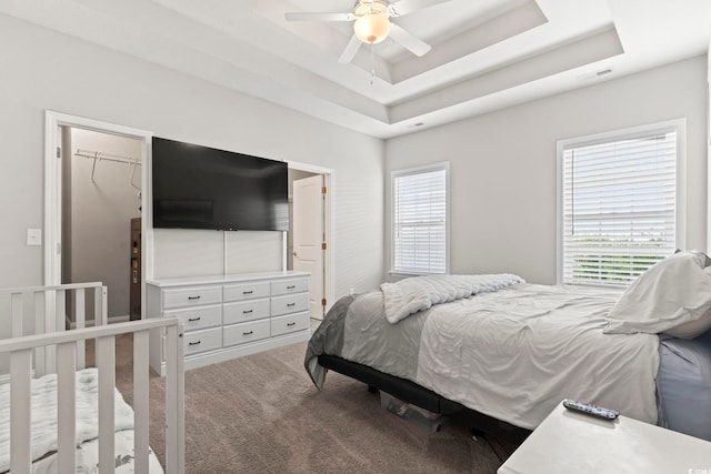bedroom featuring carpet floors, ceiling fan, multiple windows, and a raised ceiling