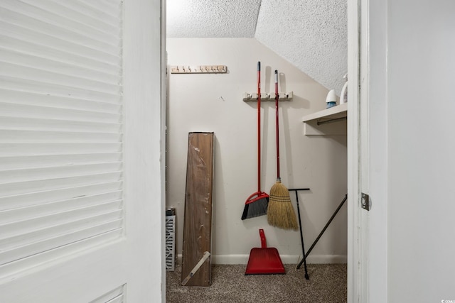 interior details with baseboards, carpet, and a textured ceiling
