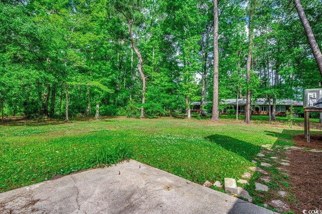 107 Azalea Dr, Conway, SC 29526 - view of yard