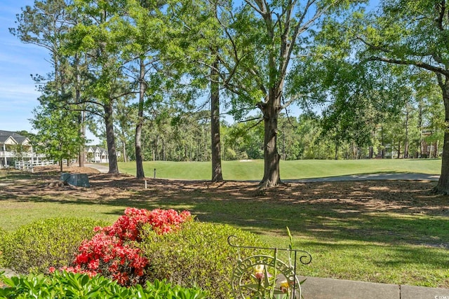 view of home's community with a lawn