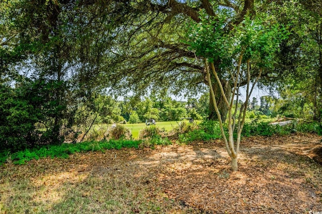 5801 Oyster Catcher Dr Unit 1214, North Myrtle Beach, SC 29582 - view of yard