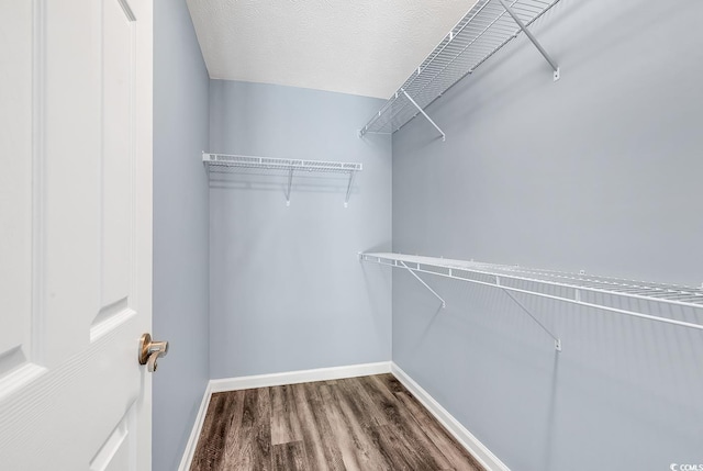 389 Barton Loop, Myrtle Beach, SC 29579 - walk in closet with wood finished floors
