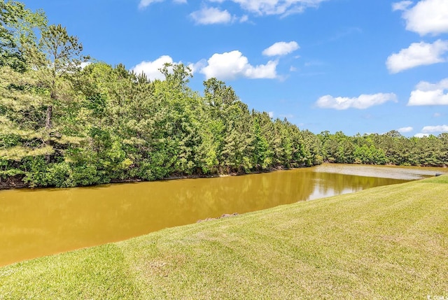 389 Barton Loop, Myrtle Beach, SC 29579 - water view with a heavily wooded area