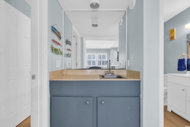 interior space with light wood-type flooring, a sink, gray cabinetry, and light countertops