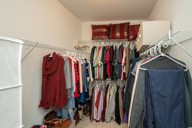 spacious closet featuring carpet floors