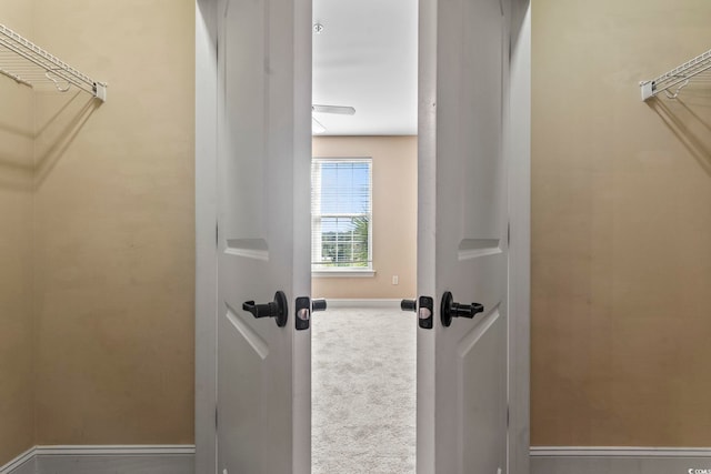 walk in closet with carpet