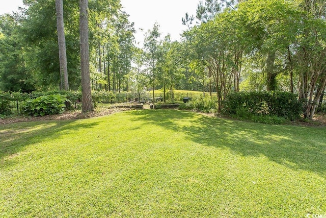view of yard
