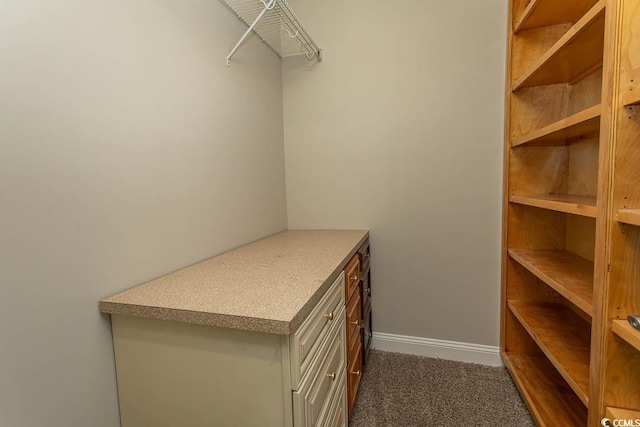 2600 Henagan Ln, Myrtle Beach, SC 29588 - photo 16